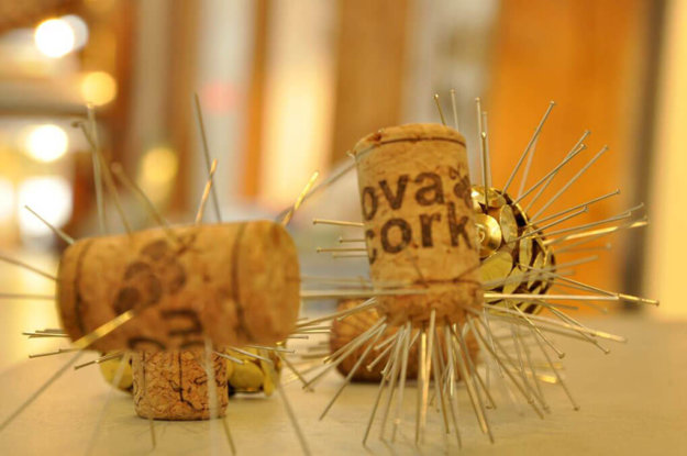 Kim Tucker, Kimberly Tucker,